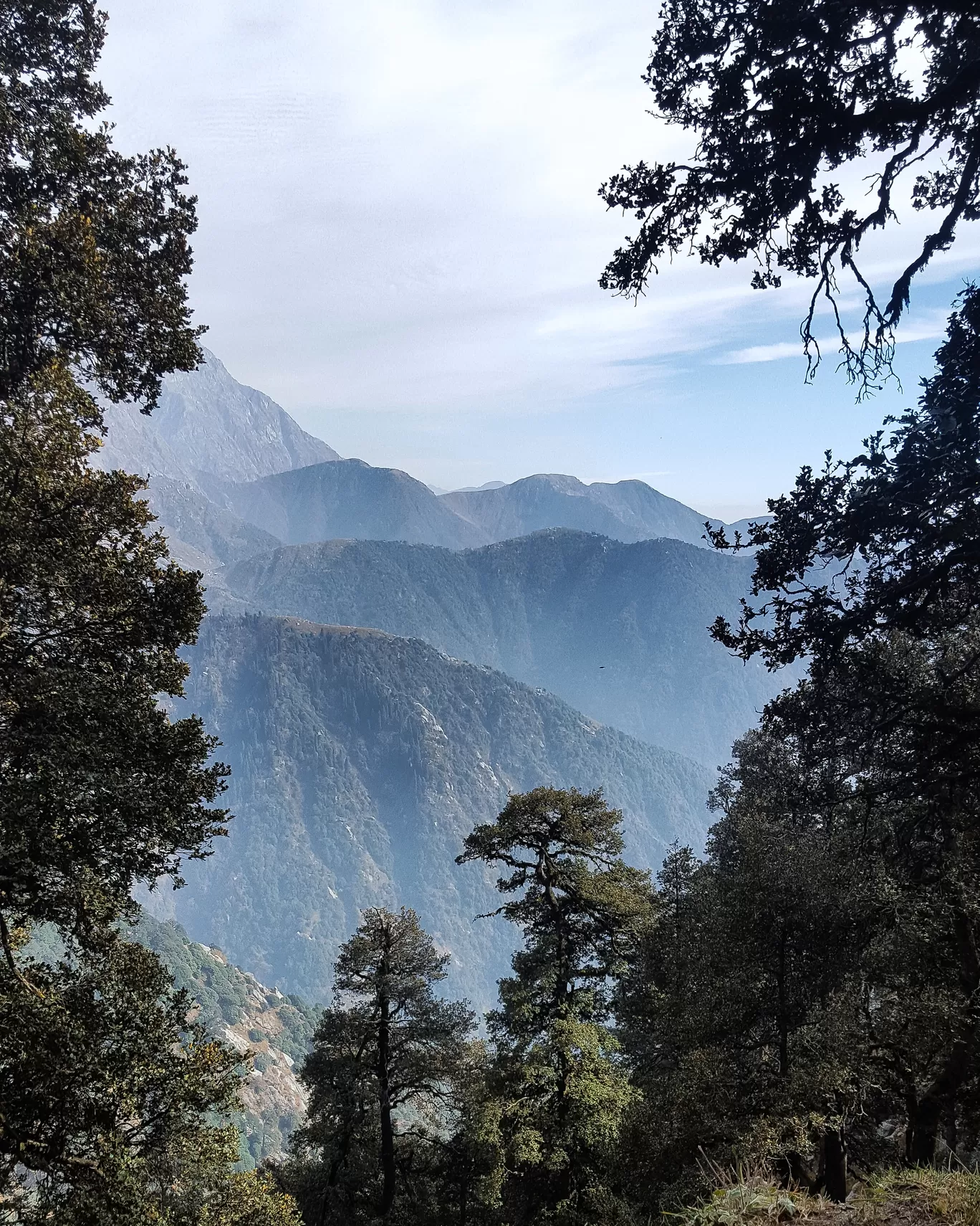 Photo of Triund By Naman_kumar