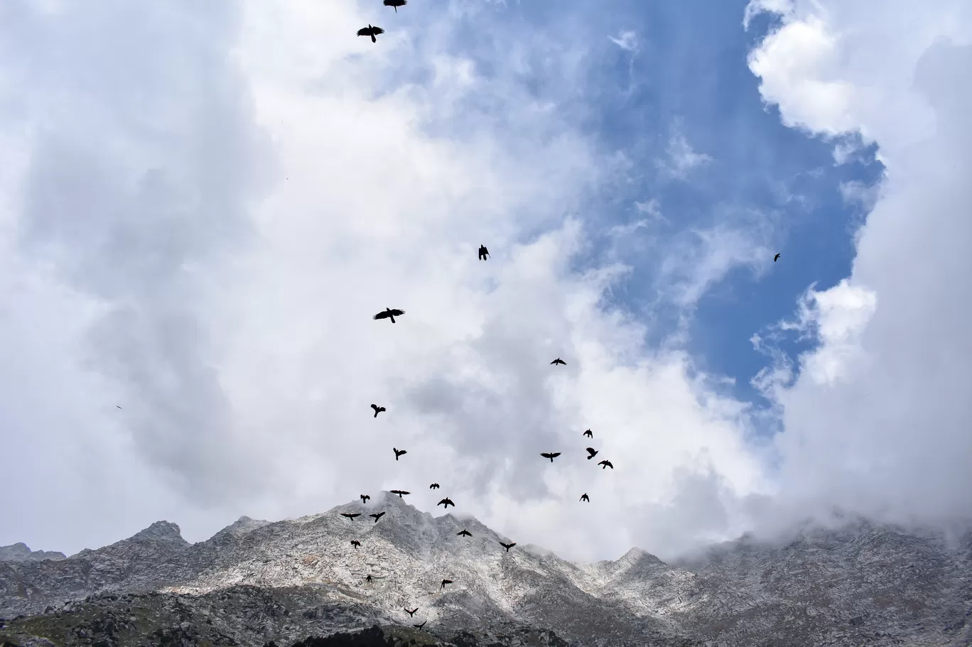 Photo of Triund By Naman_kumar