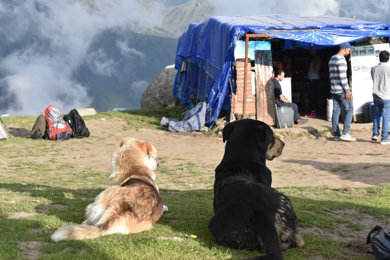 Photo of Triund By Naman_kumar