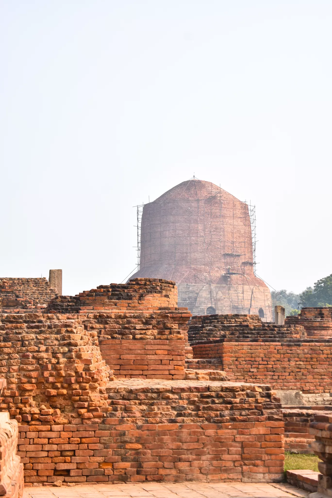 Photo of Sarnath By Naman_kumar