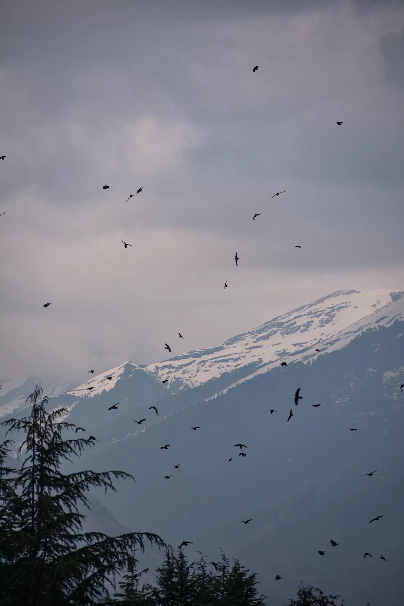 Photo of Manali By Naman_kumar
