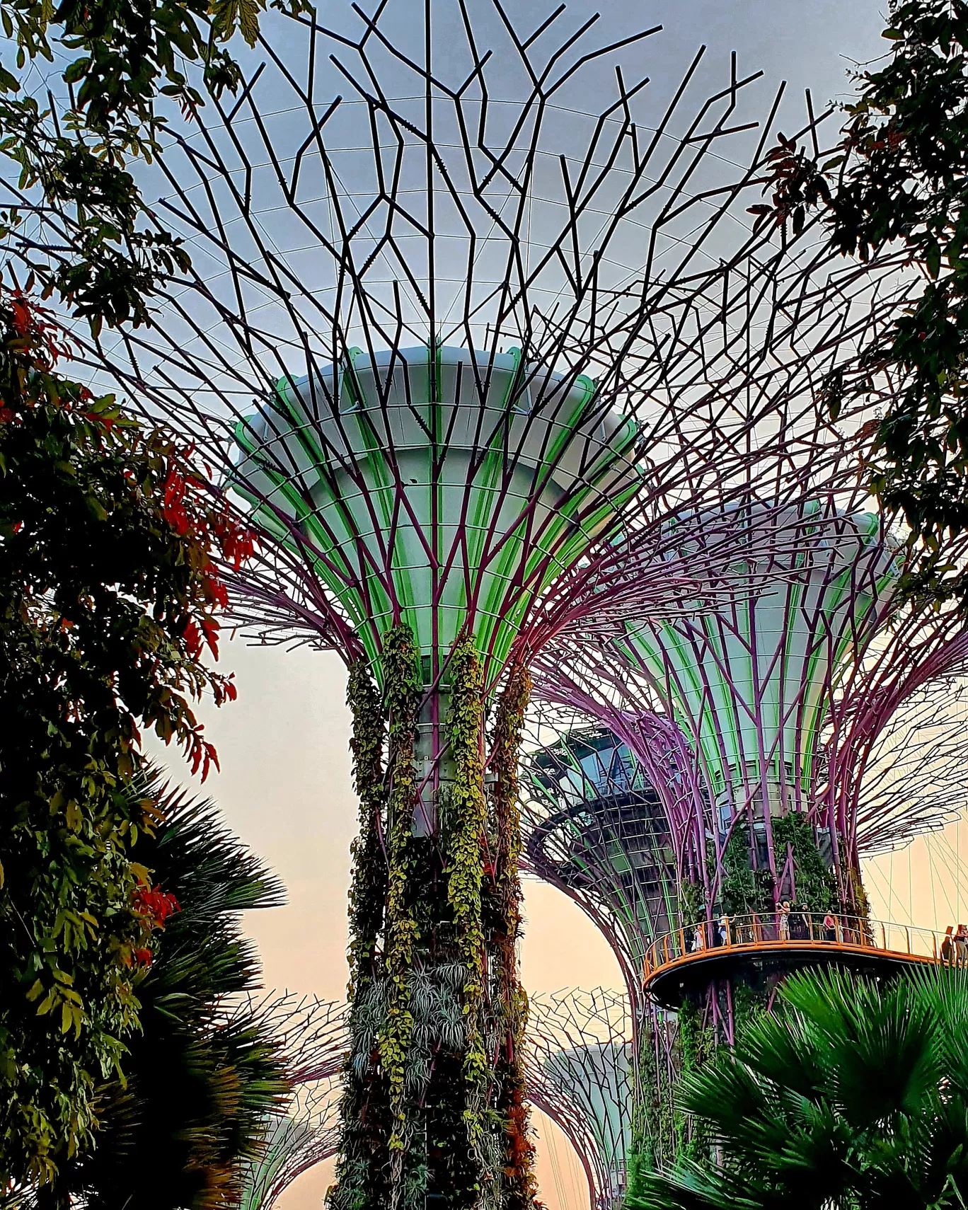 Photo of Singapore By Naman_kumar