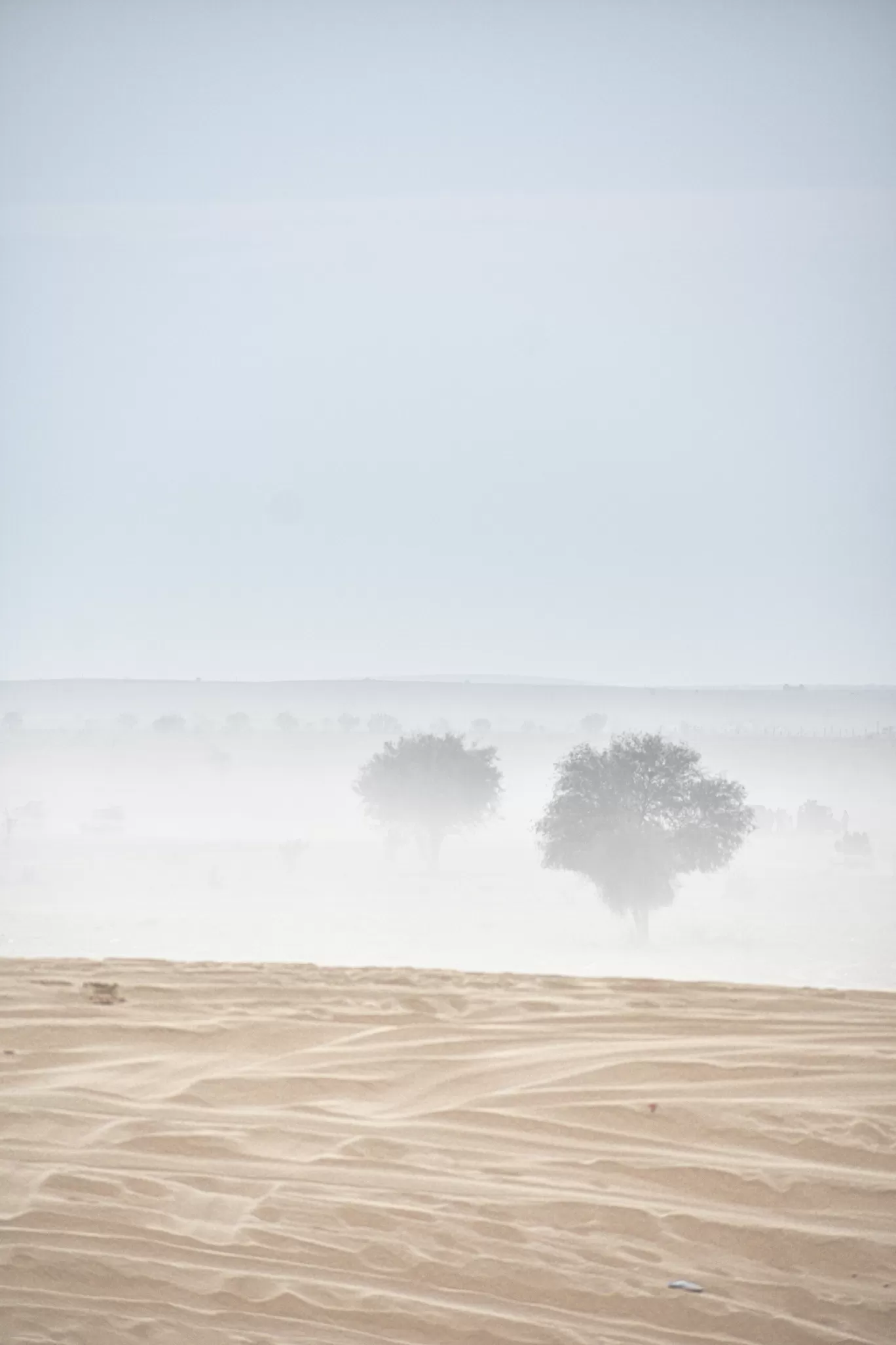 Photo of Jaisalmer By Naman_kumar