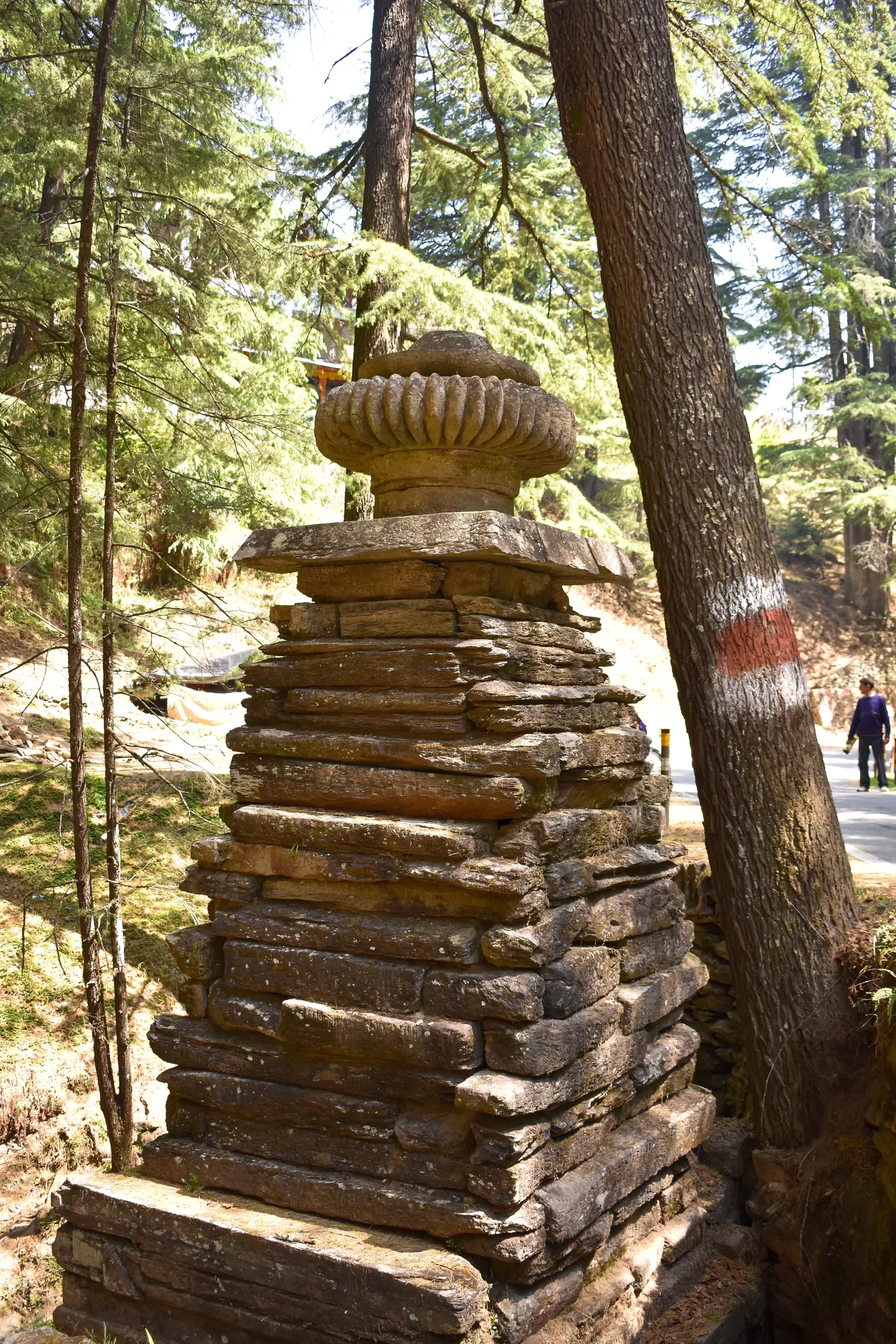 Photo of Jageshwar Dham By Naman_kumar