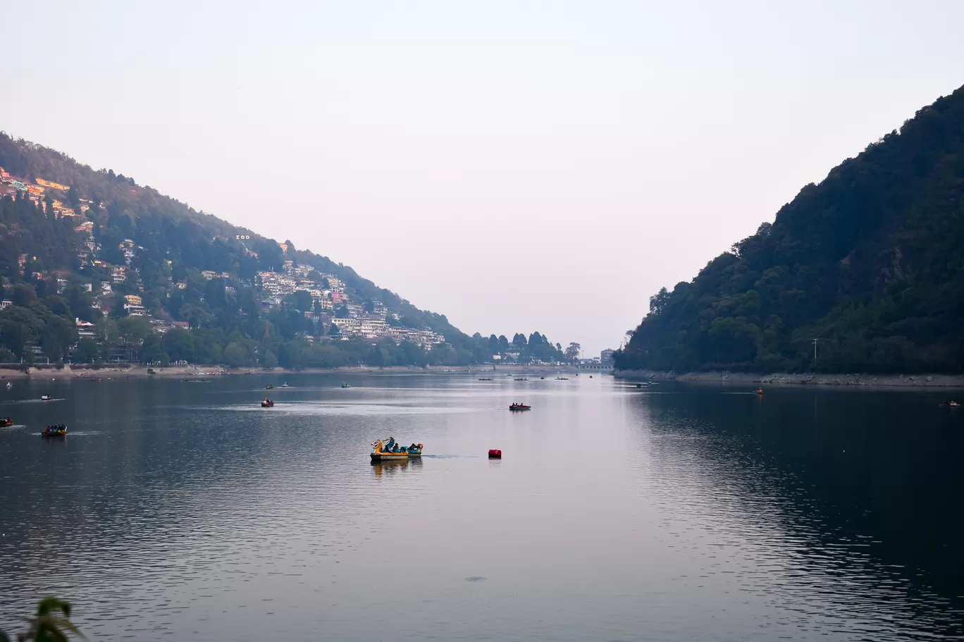 Photo of Nainital By Naman_kumar