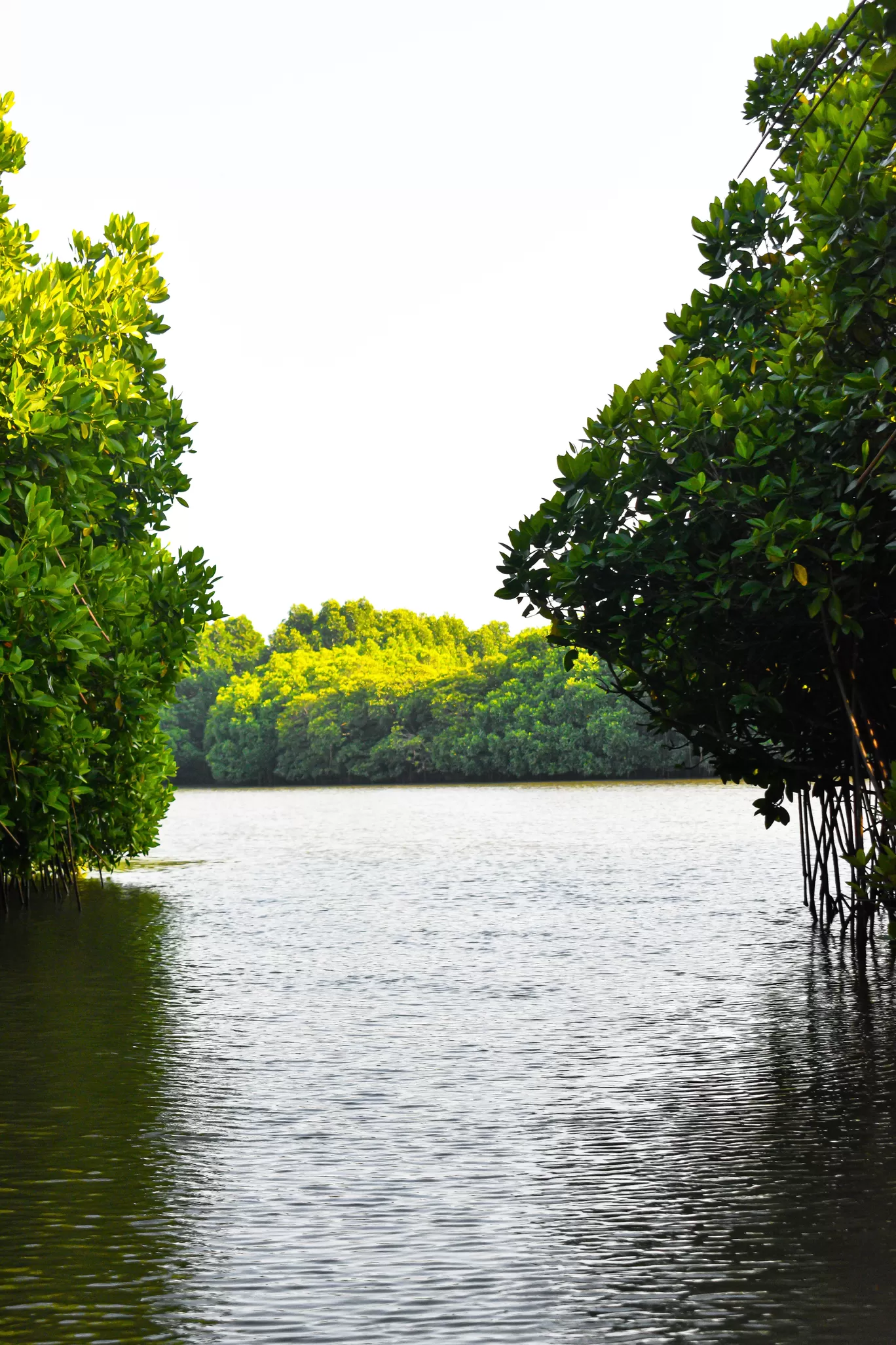 Photo of Puducherry By Naman_kumar