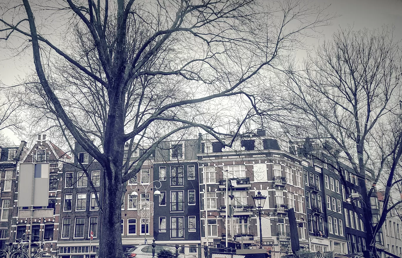 Photo of Amsterdam By Naman_kumar