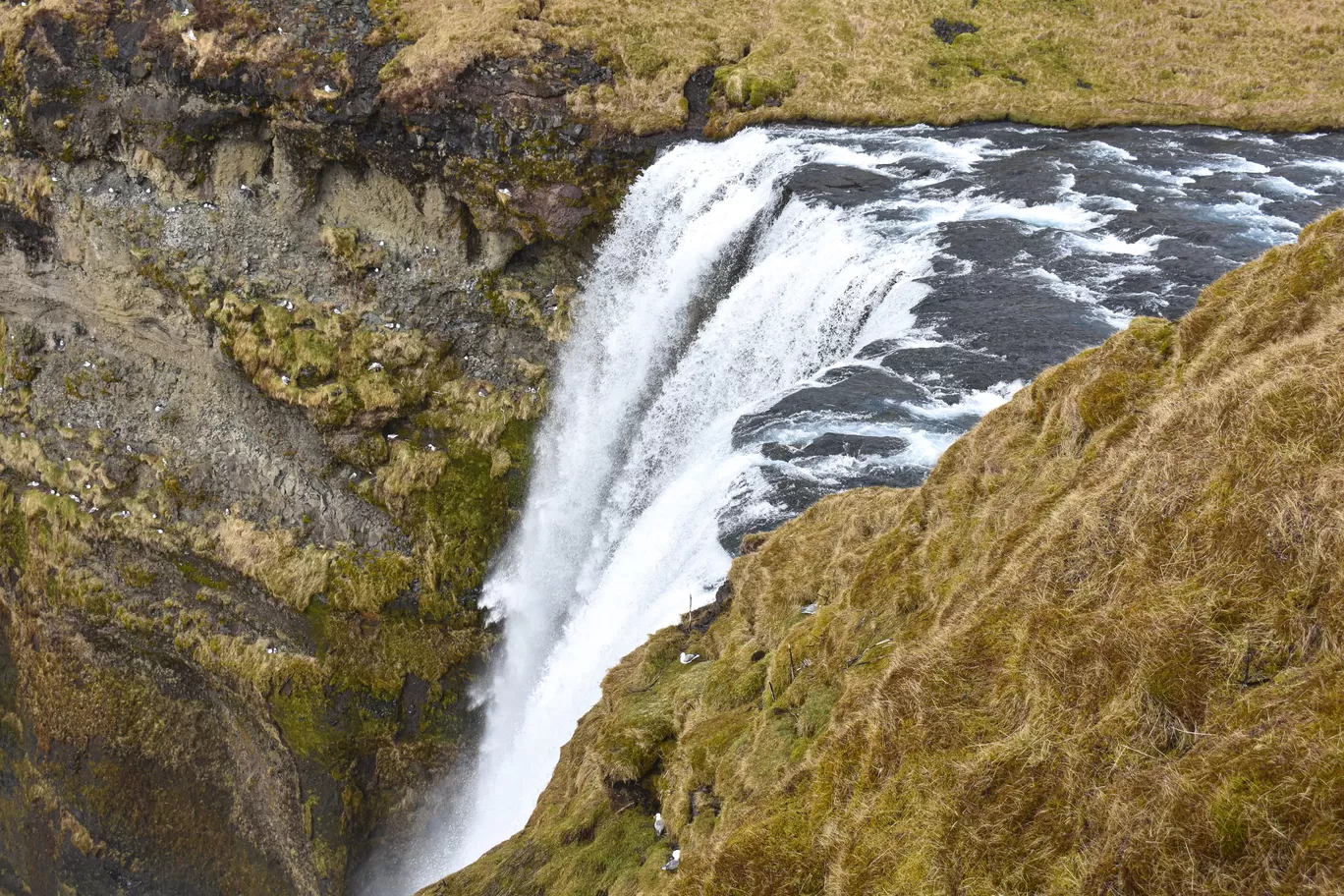 Photo of Iceland By Naman_kumar