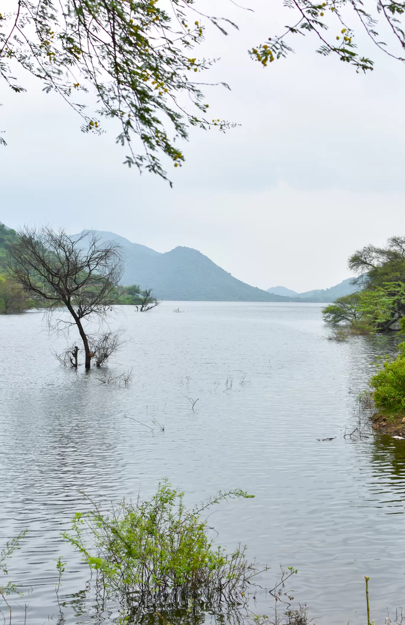 Photo of Udaipur By Naman_kumar