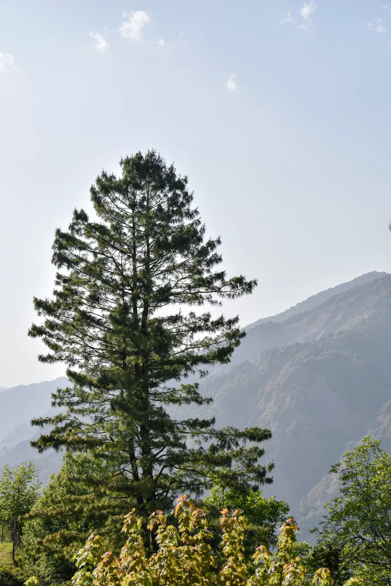 Photo of Uttarakhand By Naman_kumar