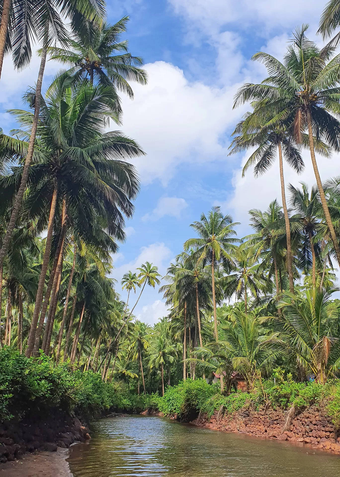 Photo of Goa By Naman_kumar