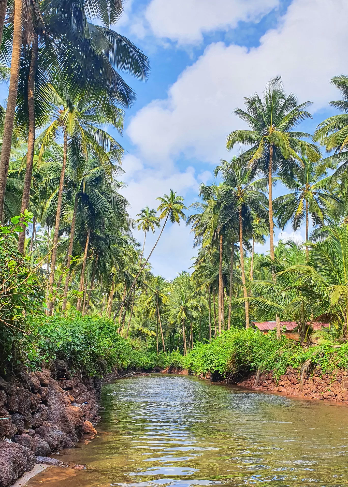 Photo of Goa By Naman_kumar