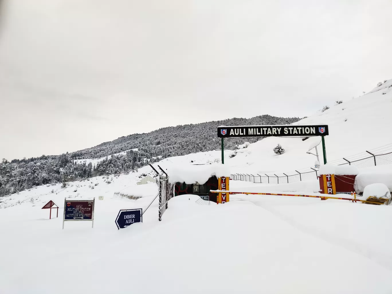 Photo of Auli Tourism By Likith Kumar