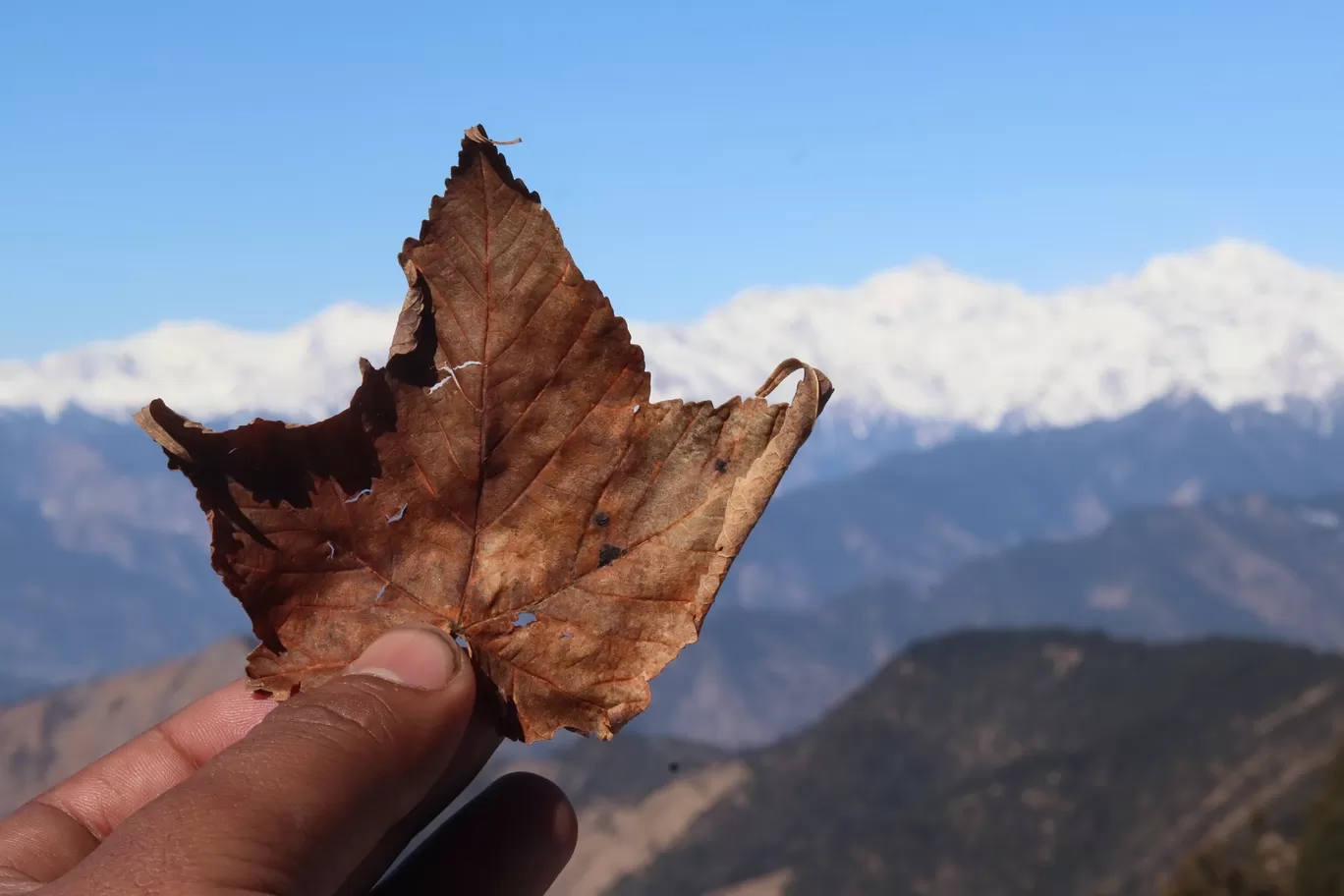Photo of Uttarakhand By Shivam