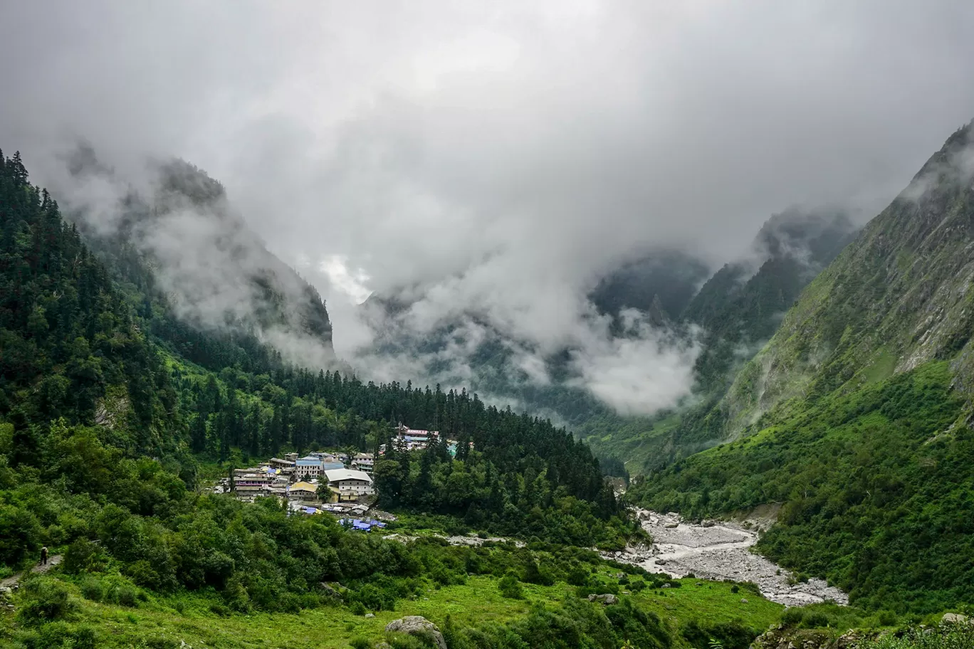 Photo of Valley of Flowers National Park By radha krishna