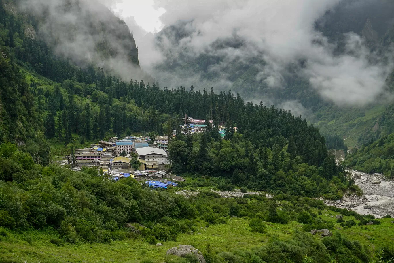 Photo of Valley of Flowers National Park By radha krishna