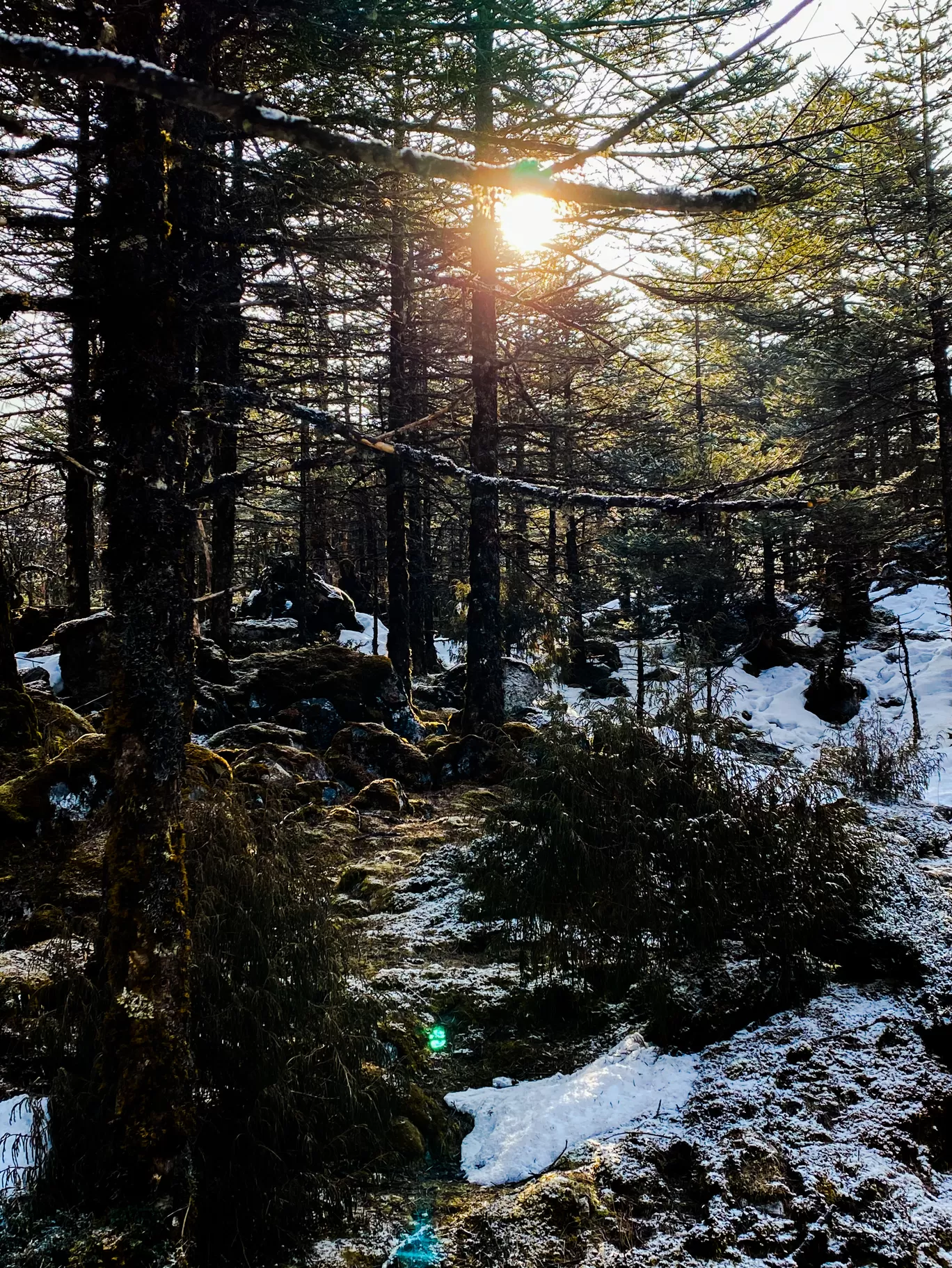 Photo of Sikkim By Simran Mootha