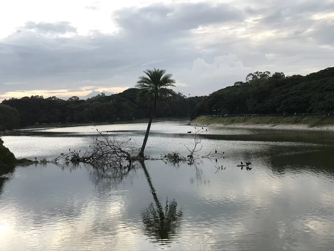 Photo of Bengaluru By Ranjitha 