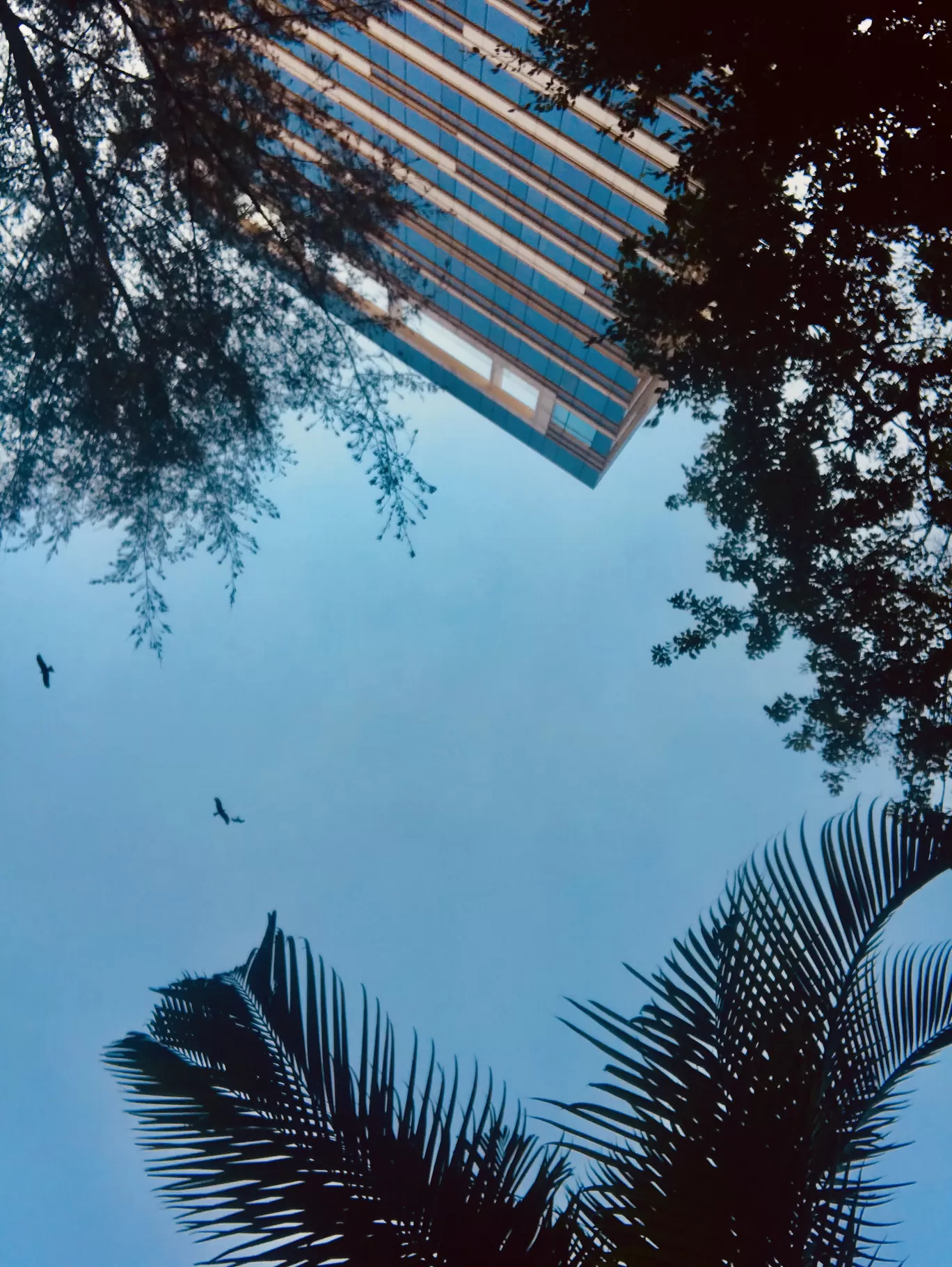 Photo of Bengaluru By Ranjitha 