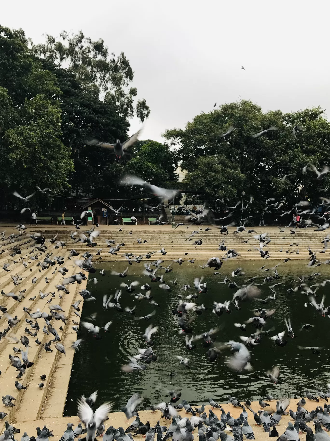 Photo of Bengaluru By Ranjitha 