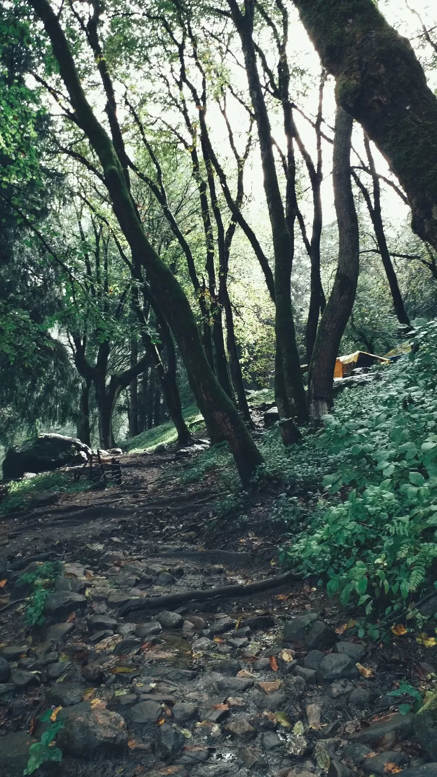 Photo of Himachal Pradesh By Aman Ami