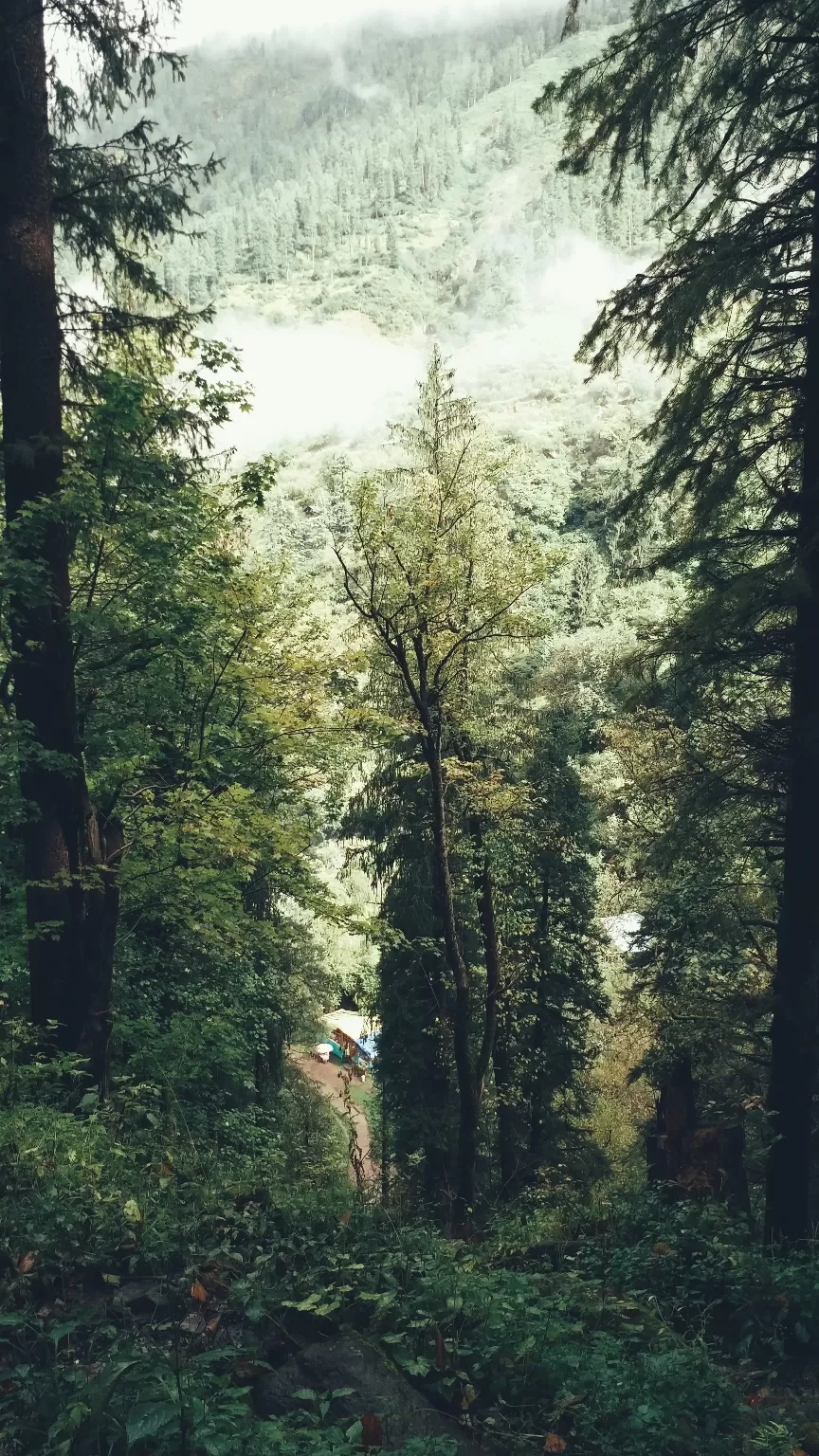 Photo of Himachal Pradesh By Aman Ami