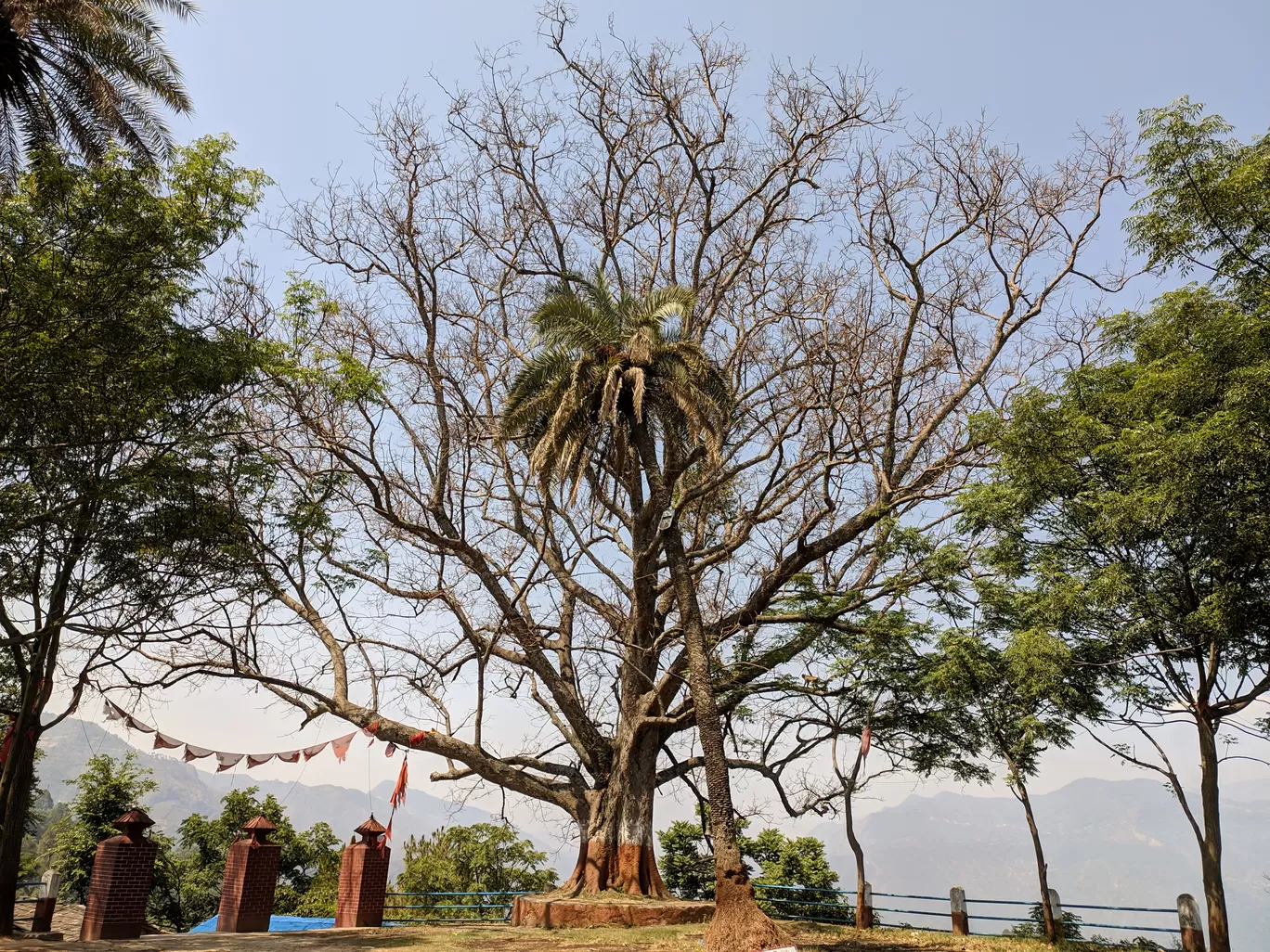 Photo of Jhulaghat By Prasanna
