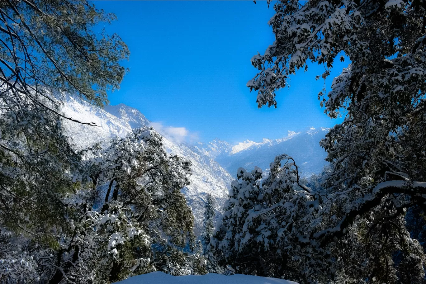 Photo of Kedarkantha By Anoop Desai
