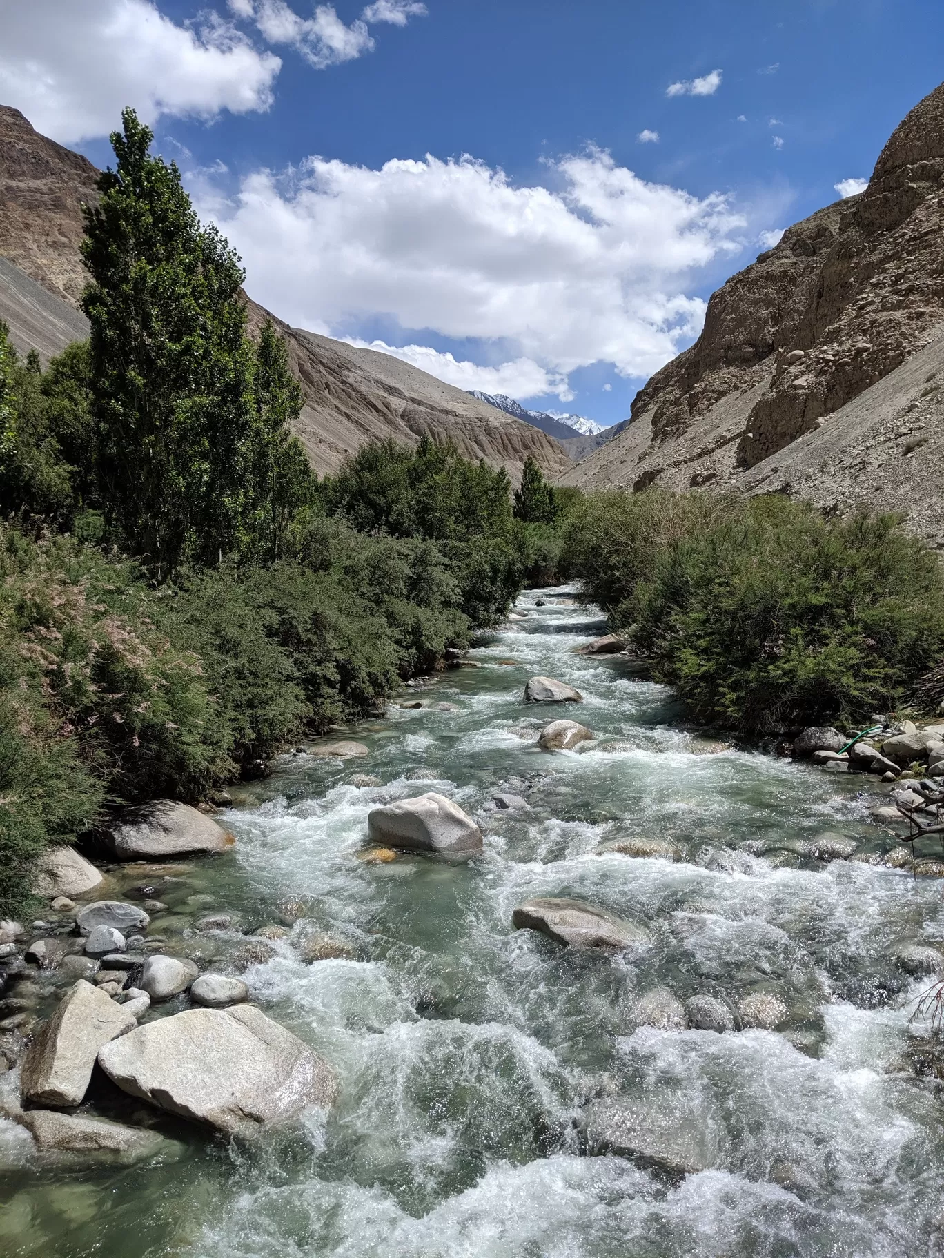 Photo of Ladakh By Anjali Mohan