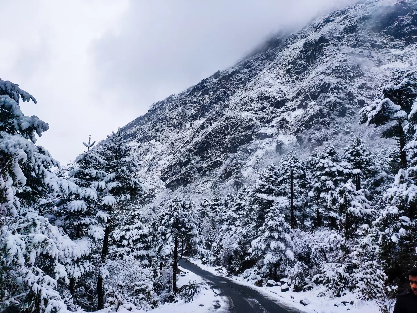 Photo of Sikkim By Saurav Das