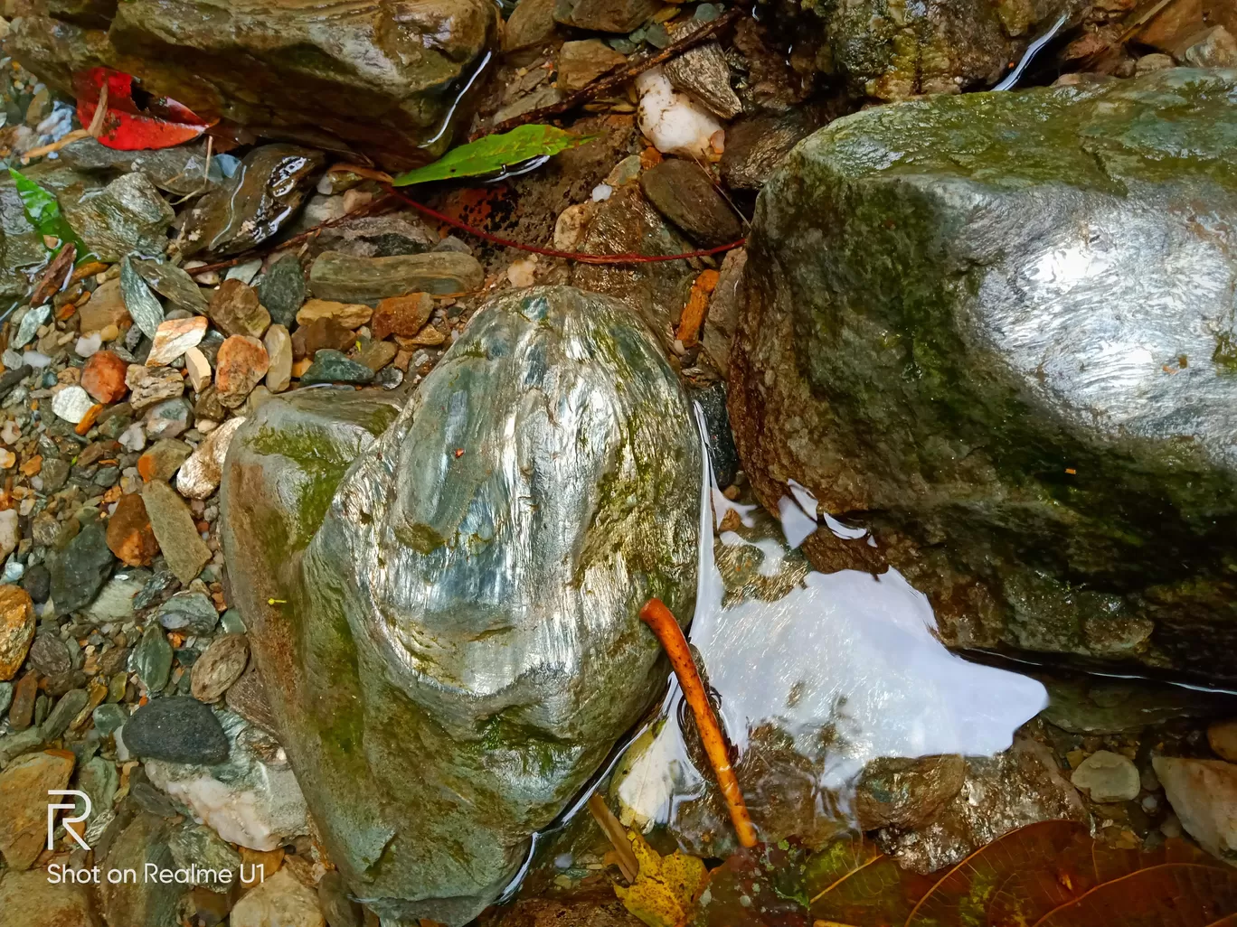 Photo of Sikkim By Harsh sapra