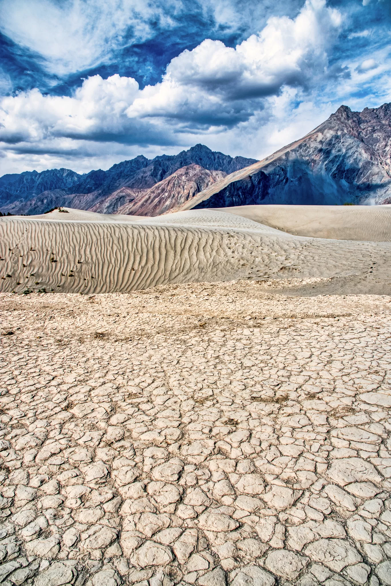 Photo of Ladakh By Savinder Singh Aurora 