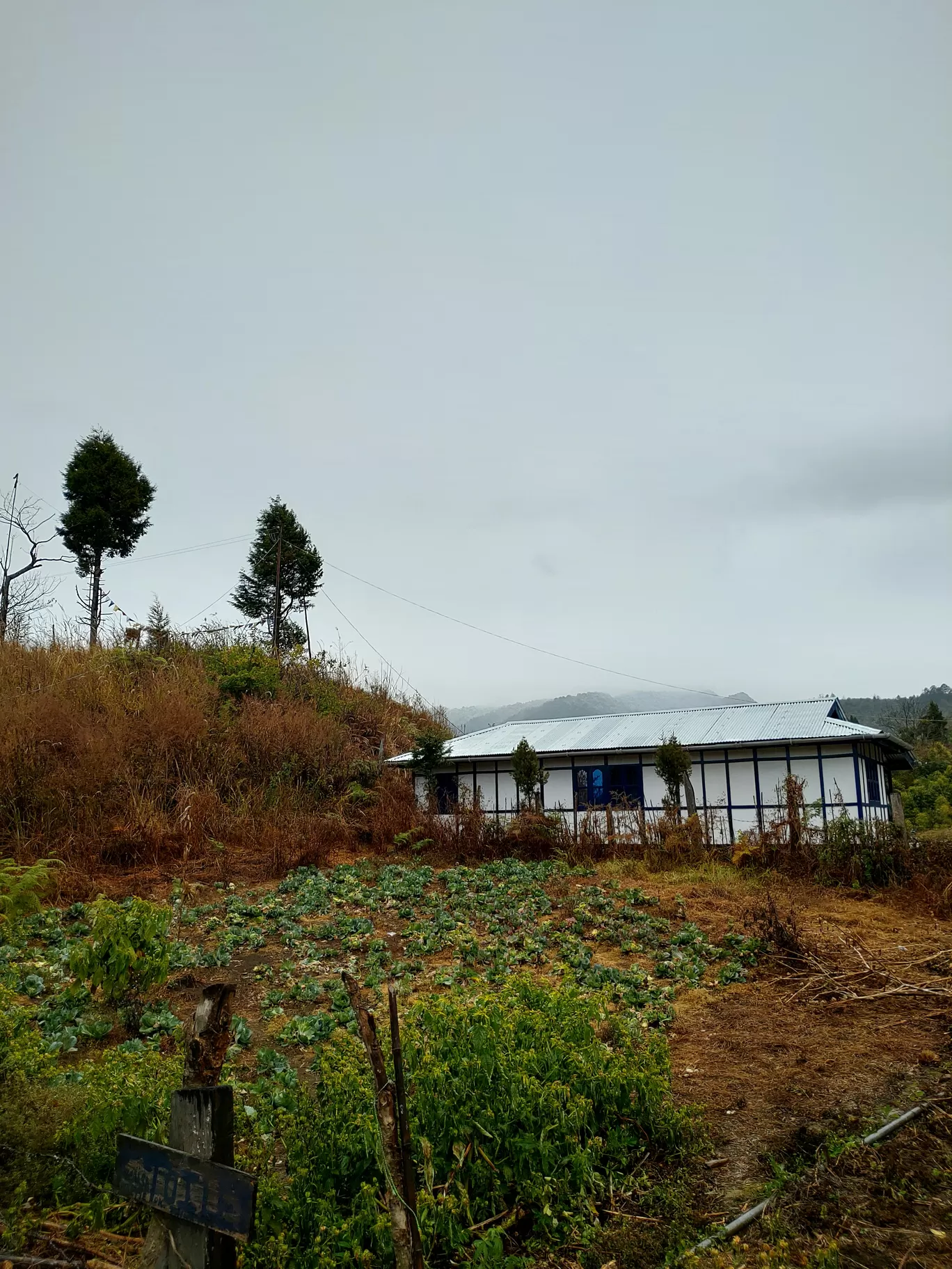 Photo of Arunachal Pradesh By Arkadip Banerjee