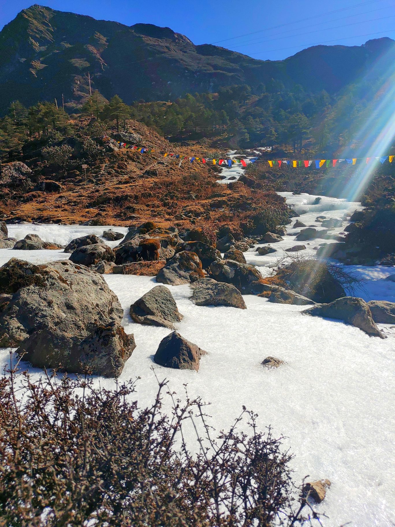 Photo of Arunachal Pradesh By Arkadip Banerjee