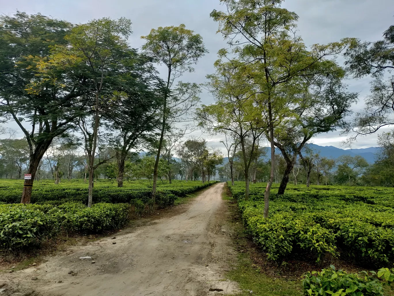 Photo of Arunachal Pradesh By Arkadip Banerjee