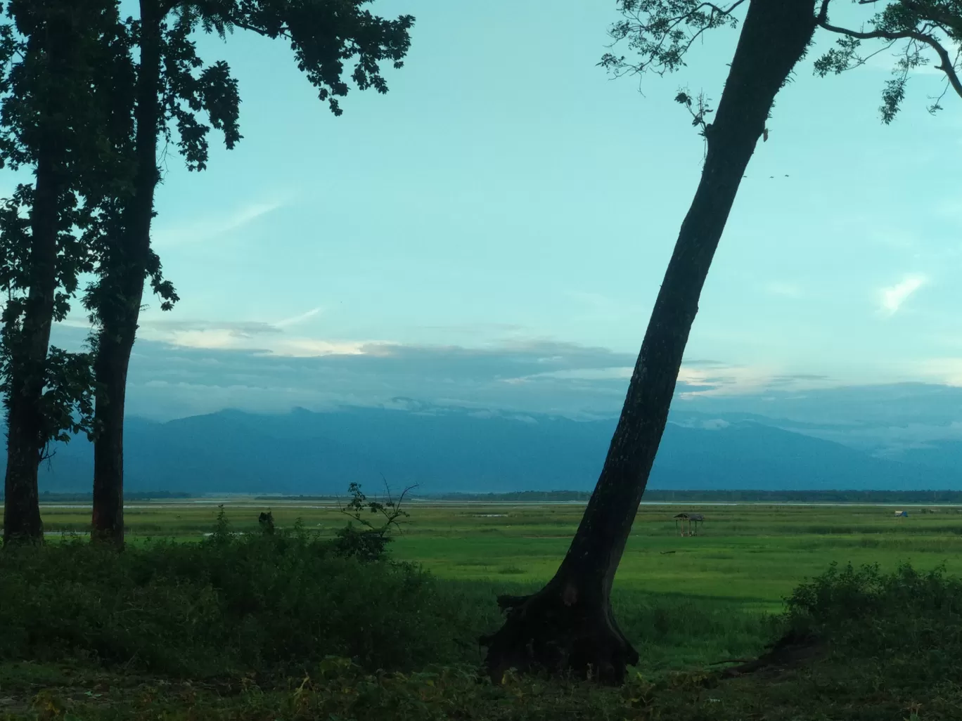 Photo of Teesta Barrage By Neha Chatterjee
