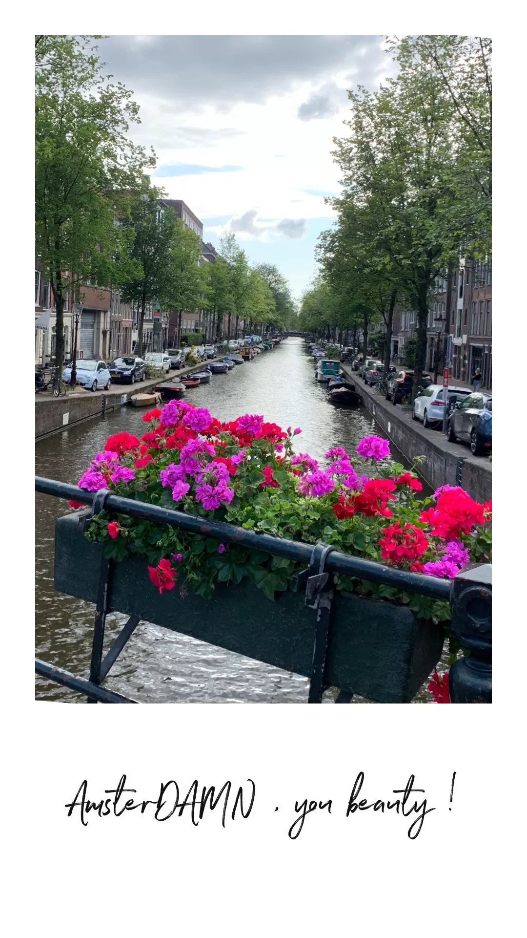 Photo of Amsterdam By Prachi Agarwal