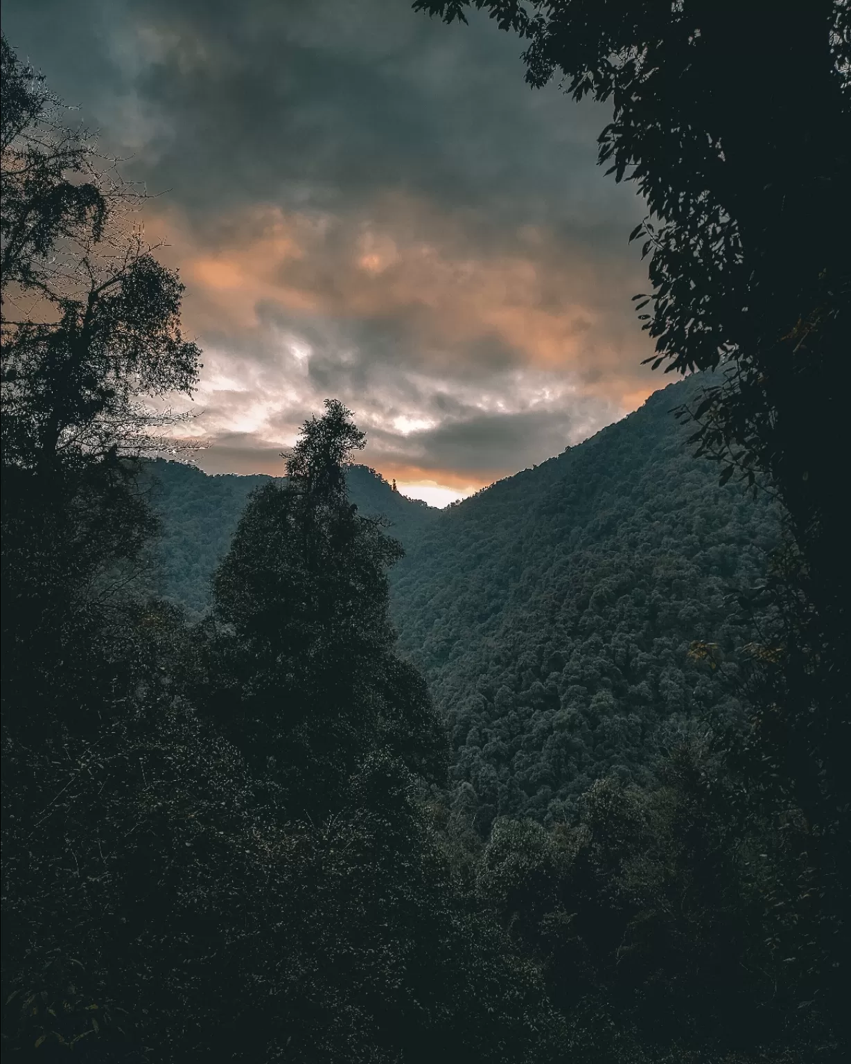 Photo of Khangchendzonga National Park By Palash Patel