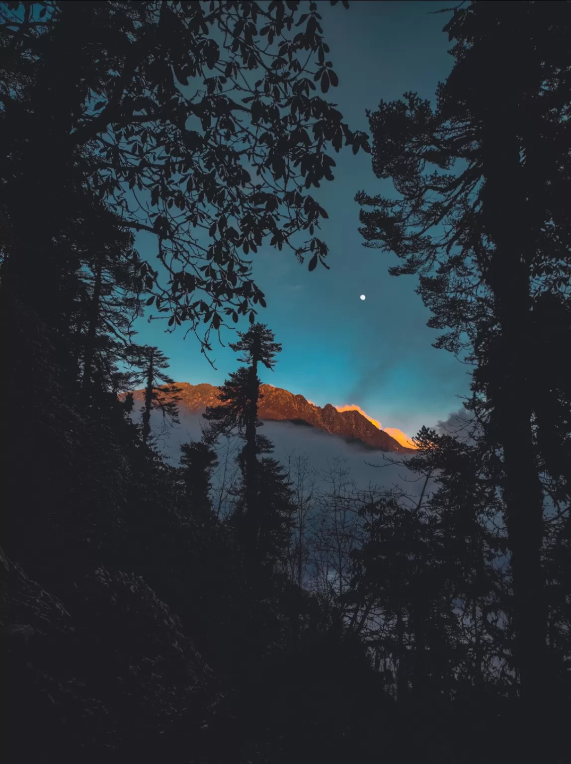 Photo of Khangchendzonga National Park By Palash Patel