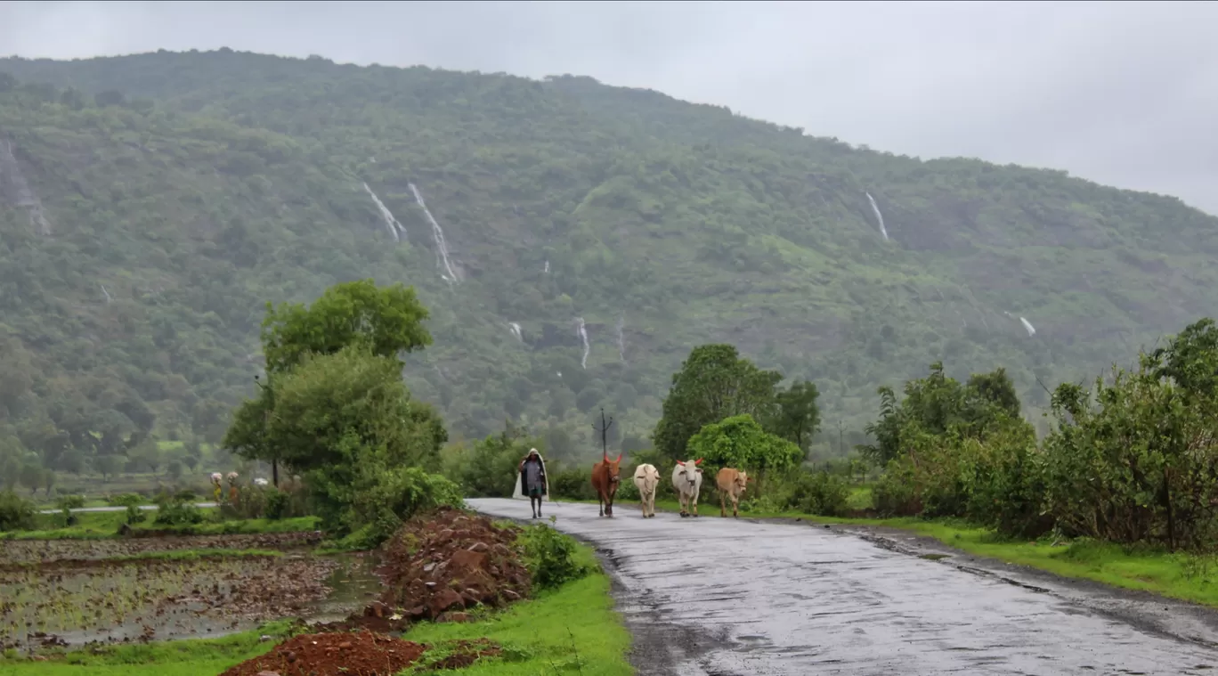 Photo of Maharashtra By Aditya Tambe