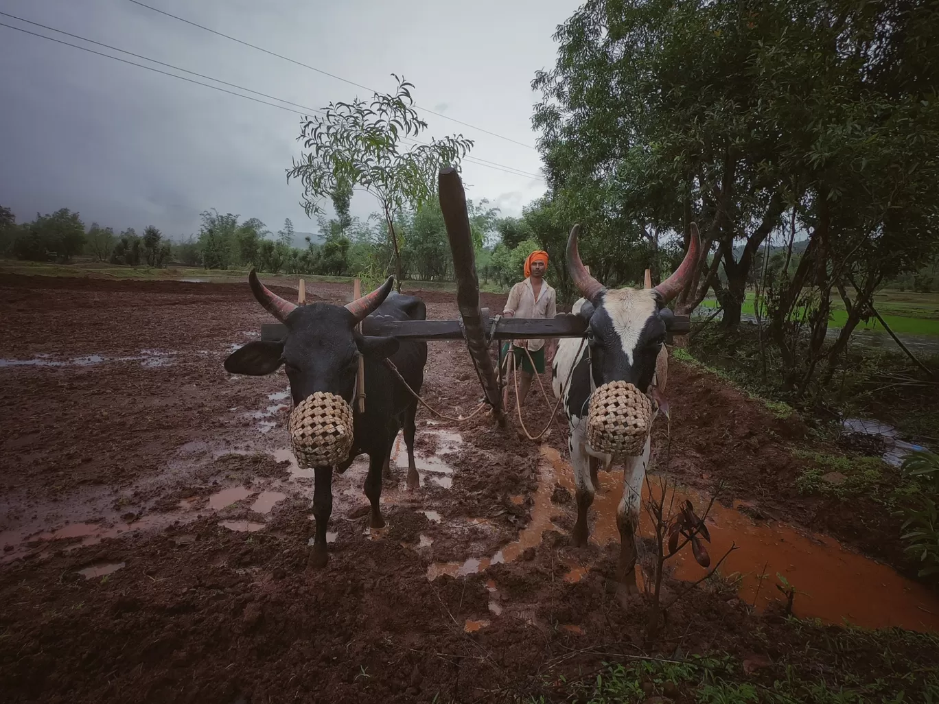 Photo of Maharashtra By Aditya Tambe