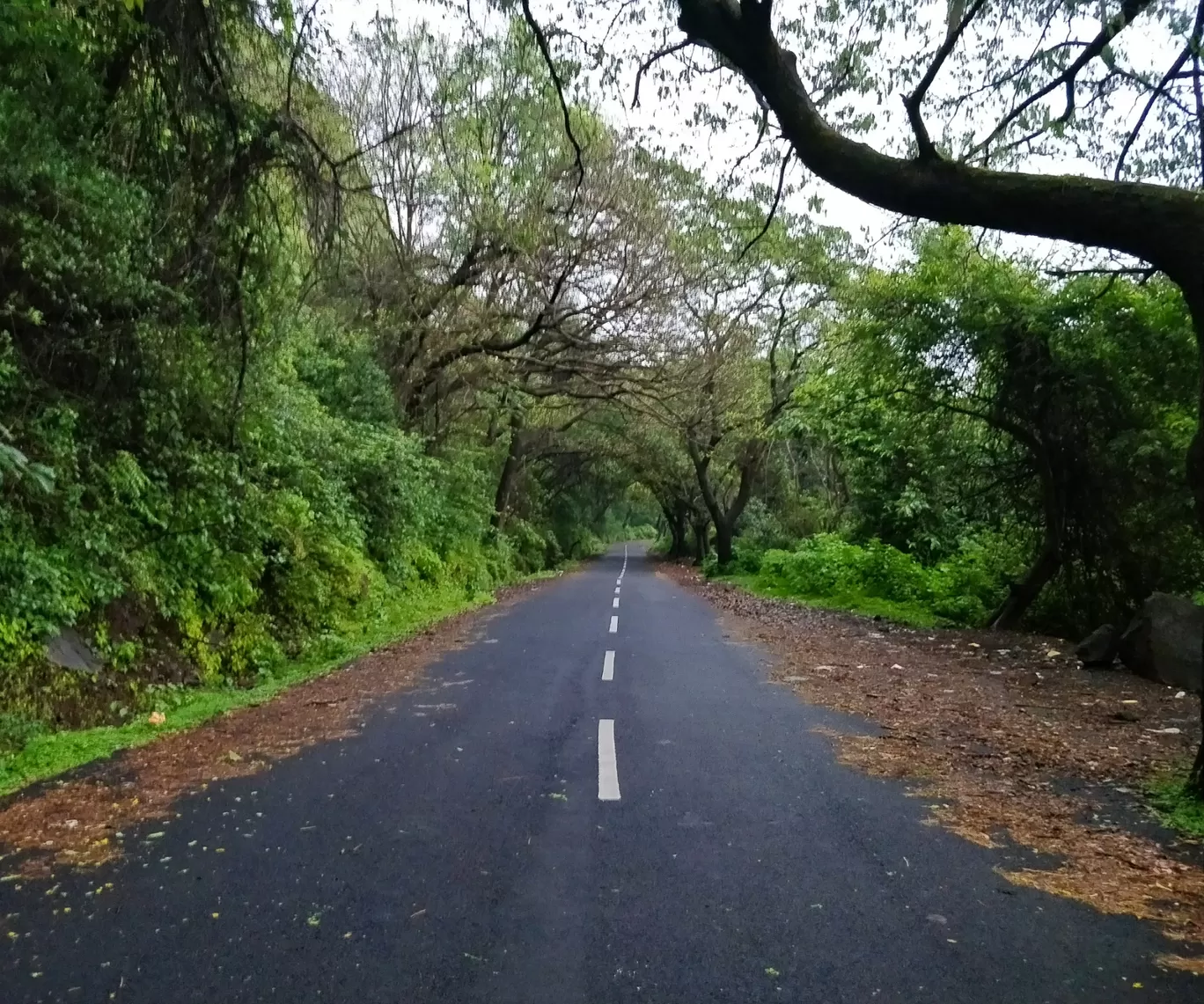 Photo of Maharashtra By Aditya Tambe