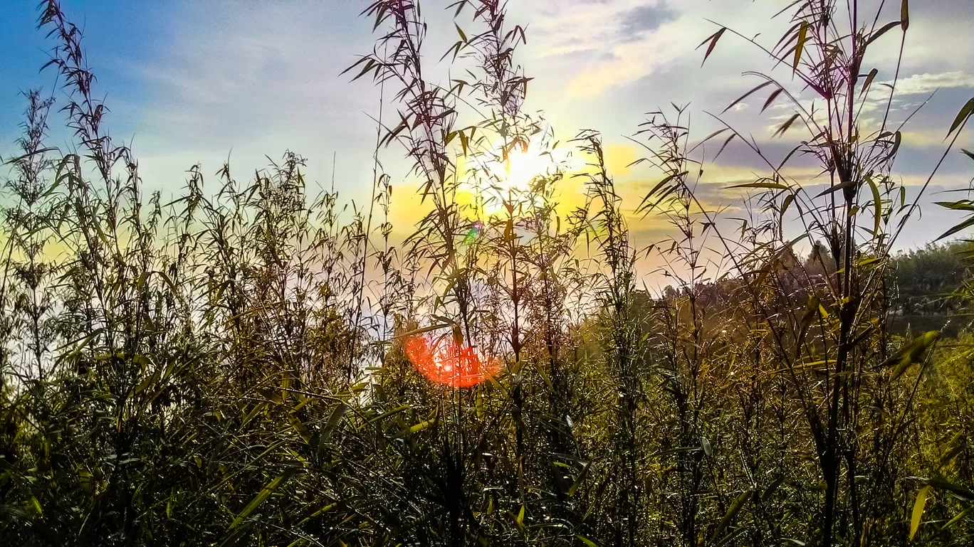 Photo of Darjeeling By Soumen Das Roy