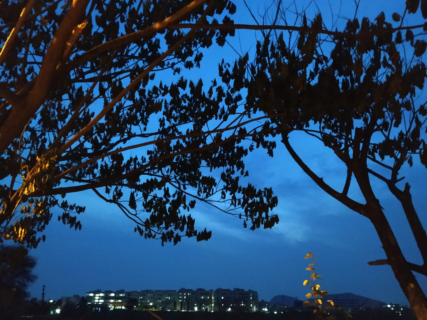 Photo of Sri Ramachandra Nagar Vijayawada By Lahari Ratnanjali