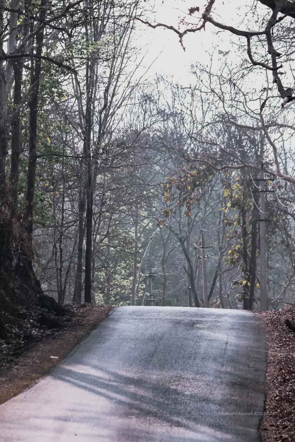 Photo of Dandeli By sumanth kamath
