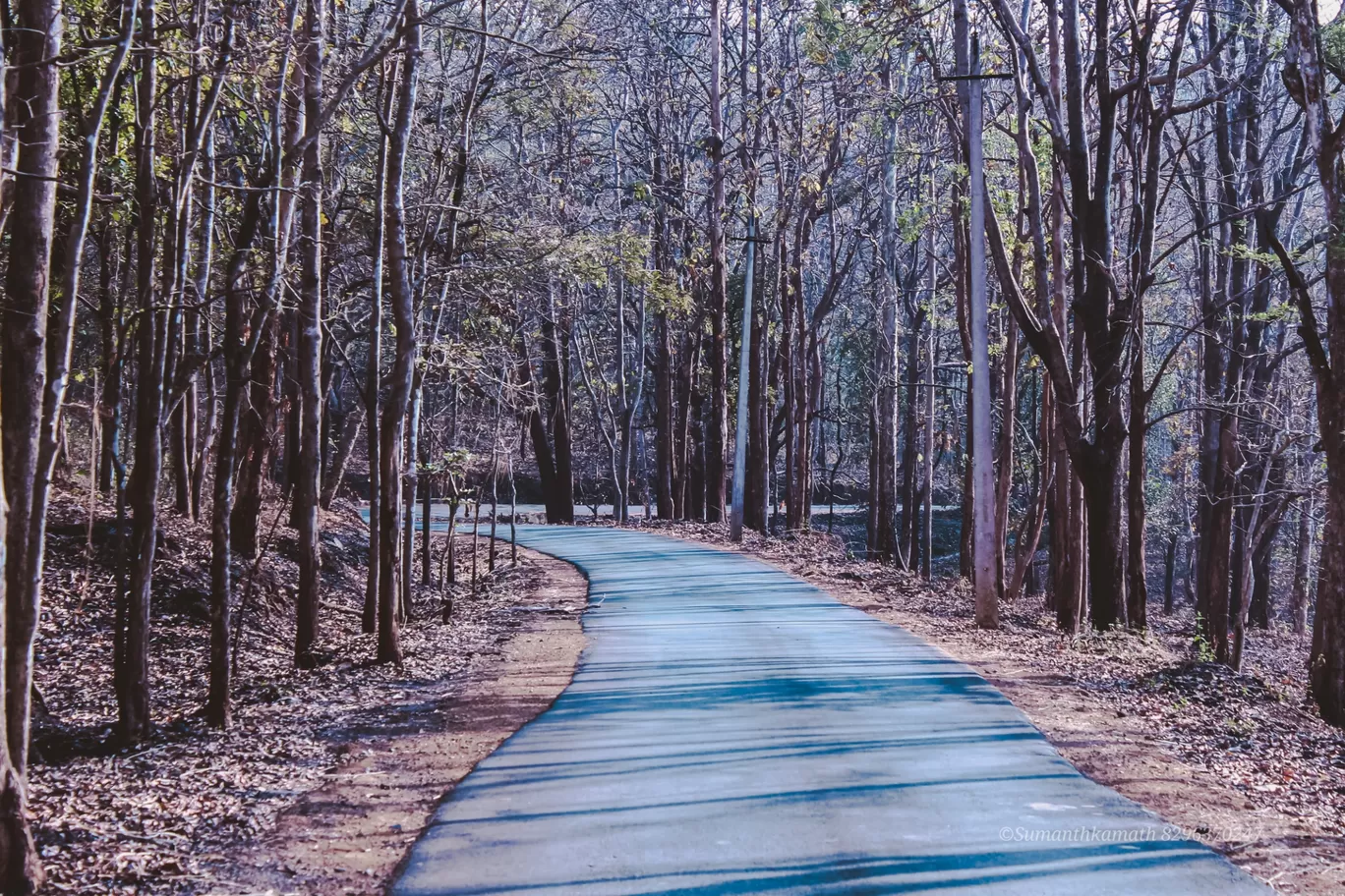 Photo of Dandeli By sumanth kamath