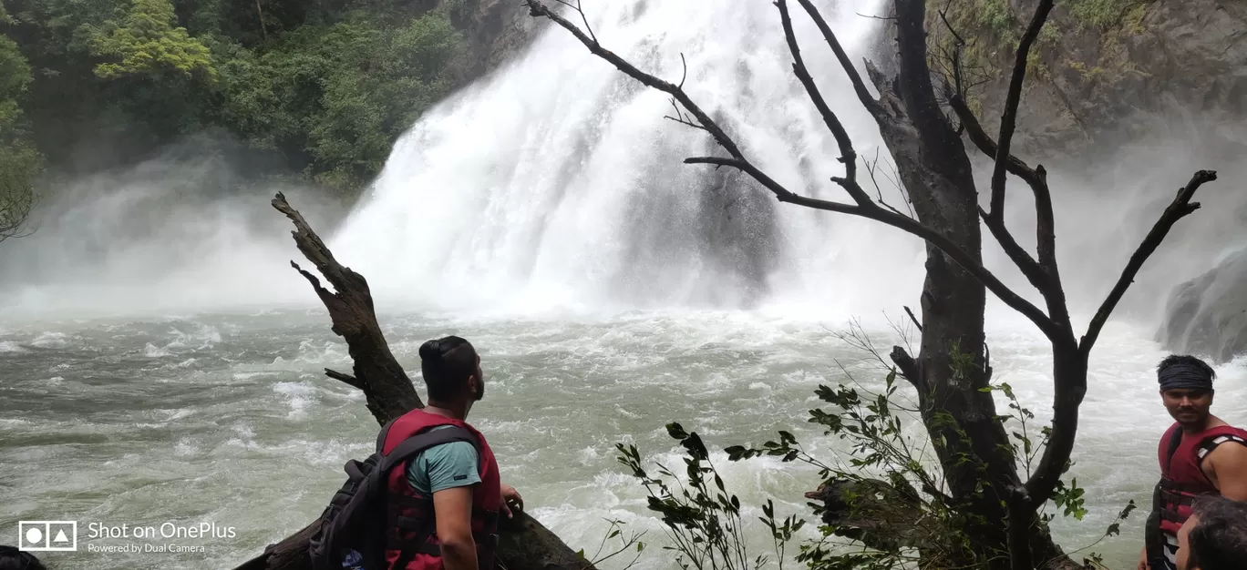 Photo of Dudhsagar Falls By Aman Ojha