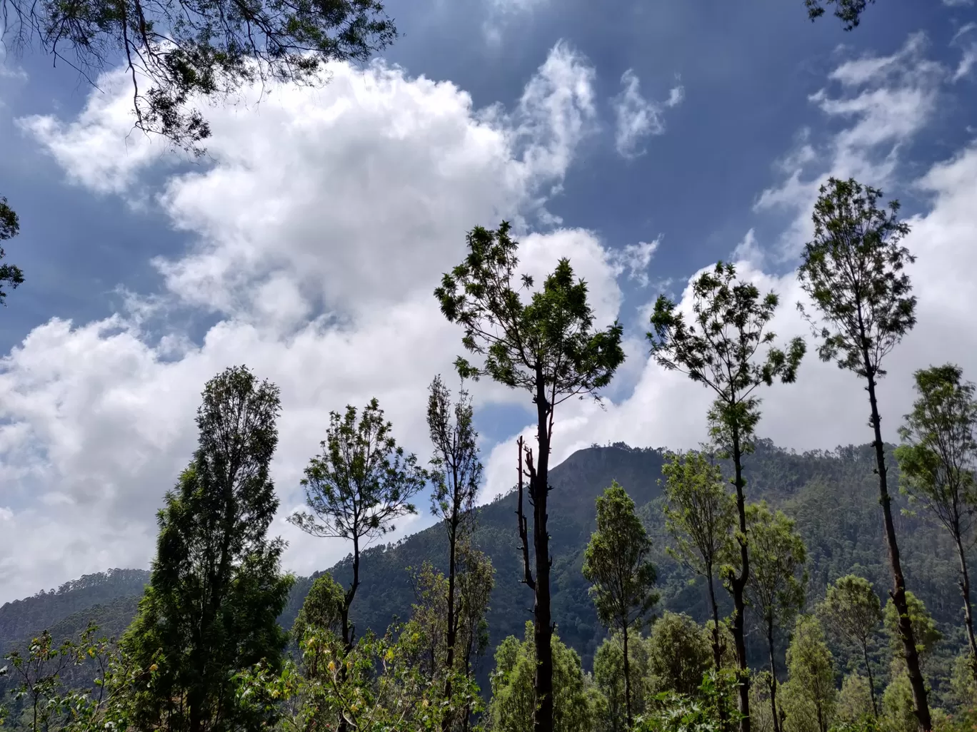 Photo of Kodaikanal By Sritama Saha