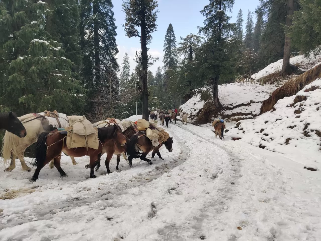 Photo of Manali By krutarth dabgar