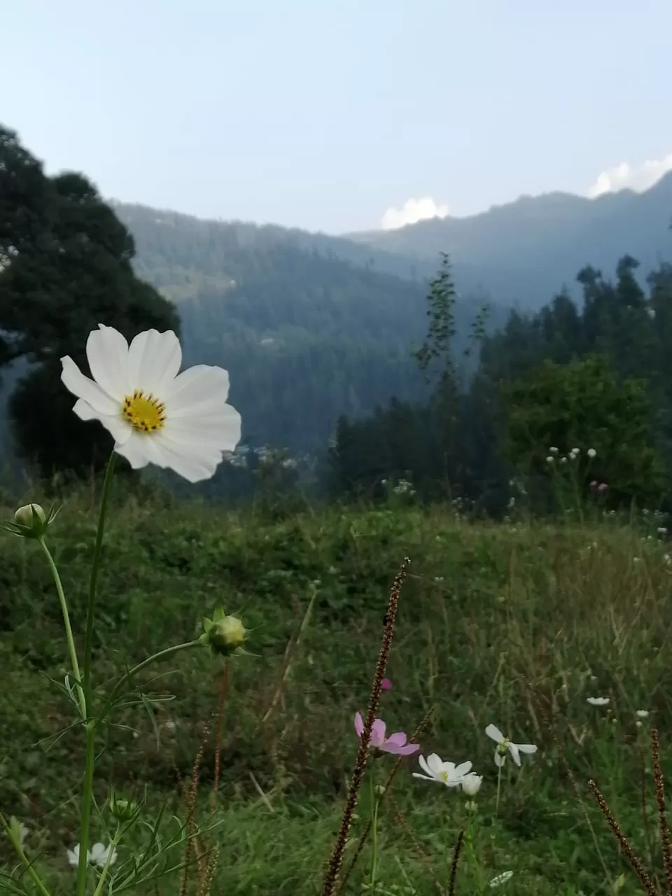 Photo of Manali By krutarth dabgar